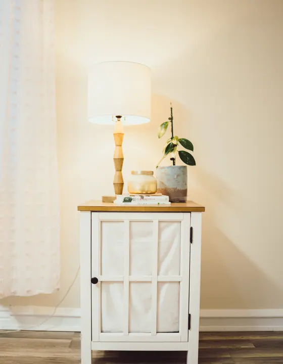 Lamp and potted plant in the studio